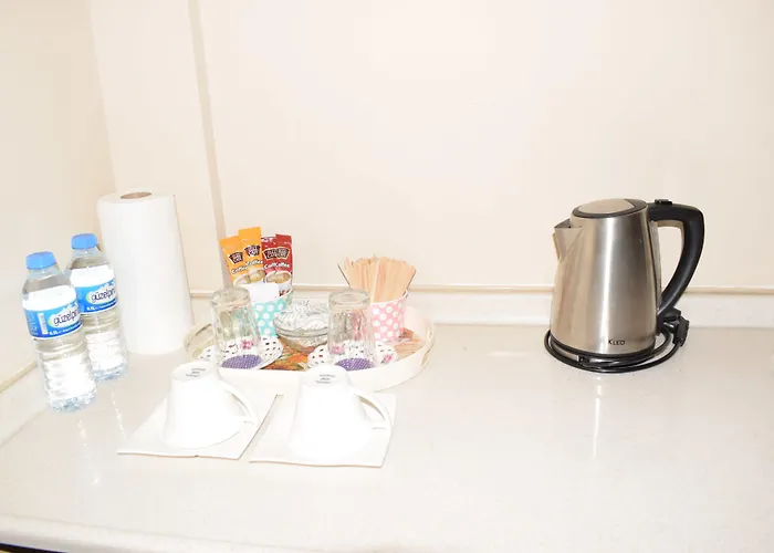 Royal Besiktas Hotel Estambul